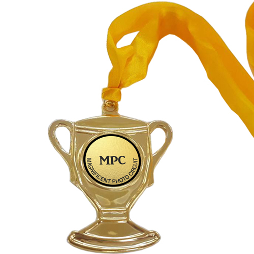 Big Cup Medal