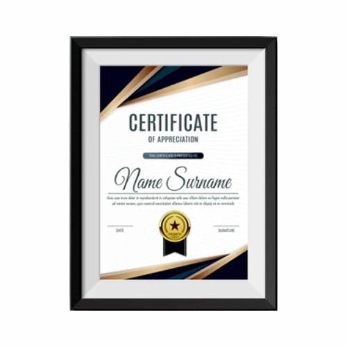 FTL Certificate Frame Black with mount 004