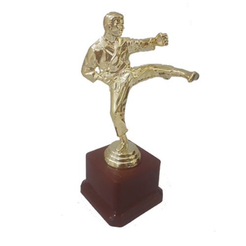 Fiber Trophy - FTSS Karate 5202