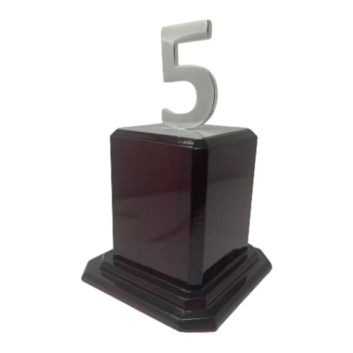 Metal Trophy - FTK 5 Year Long Service Award  - New