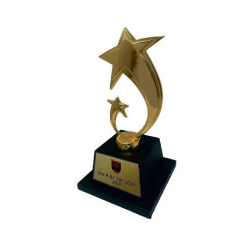 Metal Star Trophy - FTK Star 001