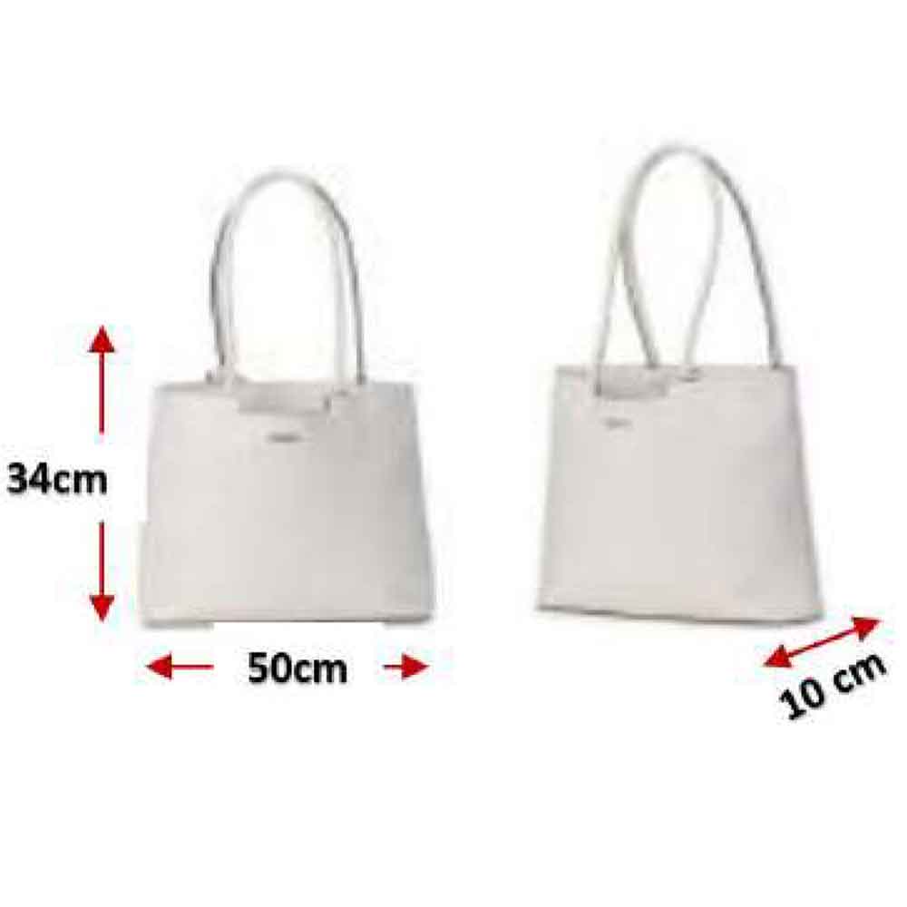 Rugsak Bags-Women Laptop Tote Bags(ASTER)
