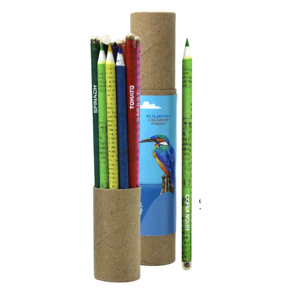 KINGFISHER Colouring Seed Pencils