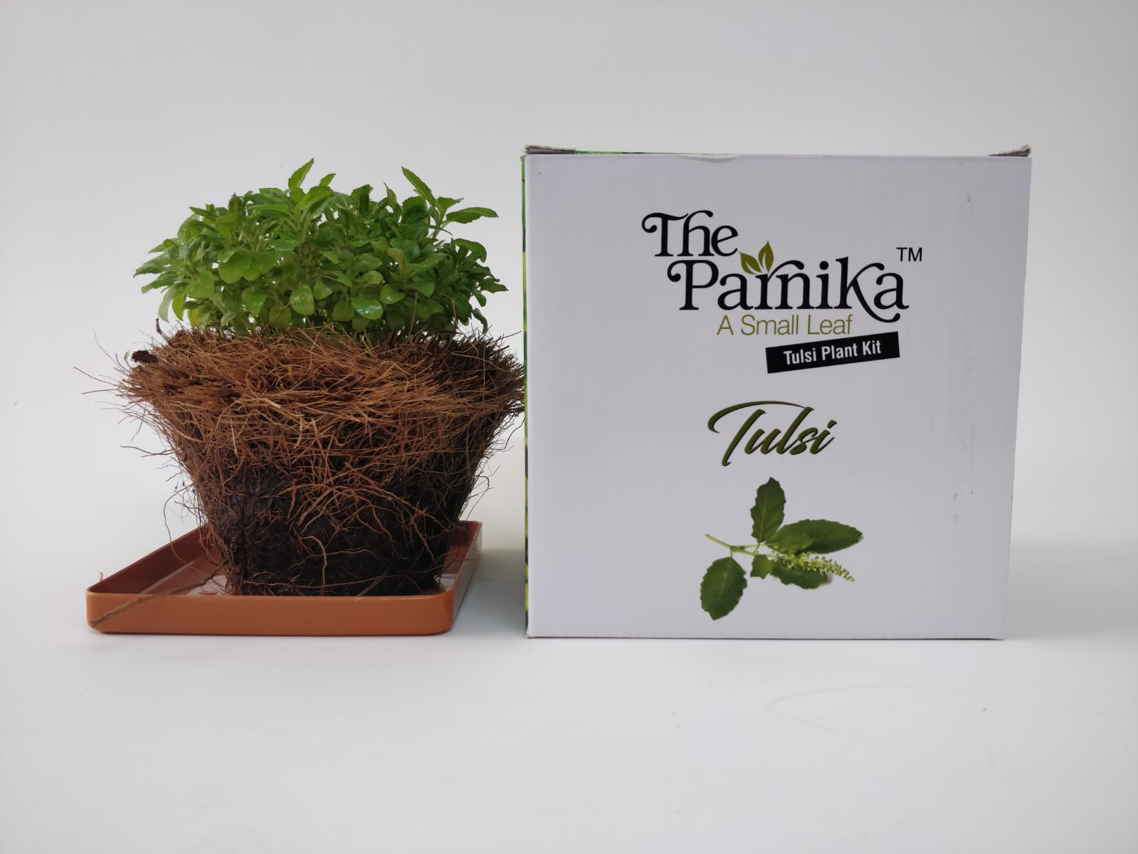 The Parnika DIY Plantation Kit - Tulsi