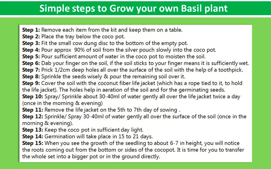 The Parnika DIY Plantation Kit - Basil Plant