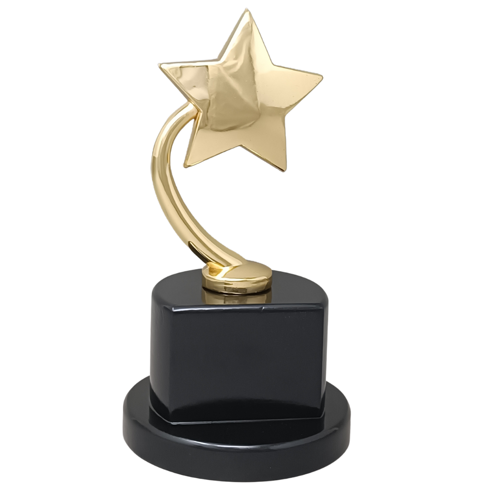 Metal Star Trophy - FTB 2225 - 005