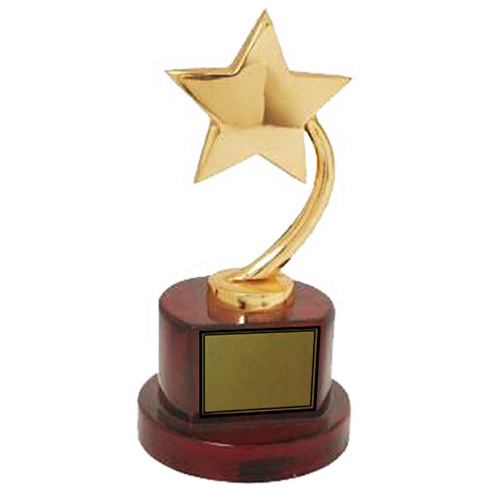 Metal Star Trophy - FTK 712