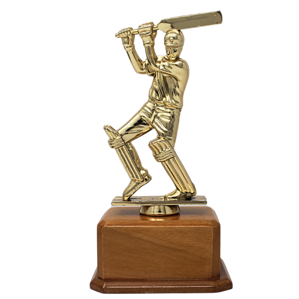 Fiber Trophy - FTG 6527 - Cricket