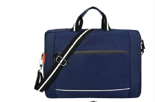 Adamson - Laptop Bag ASB-284