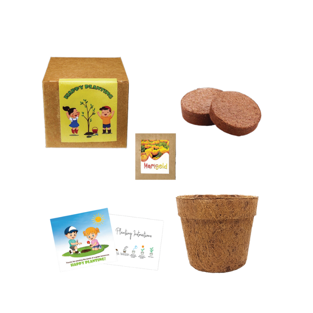 Plantable Eco-friendly kit - Big