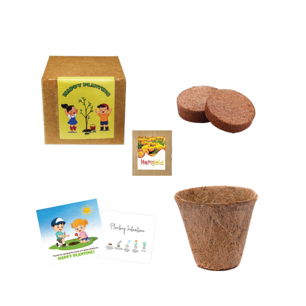 Plantable Eco-friendly kit - Small