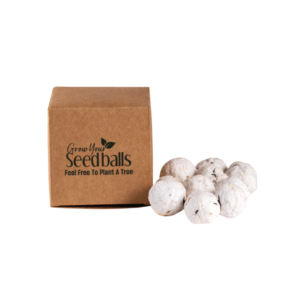 Plantable Seedballs - TT019