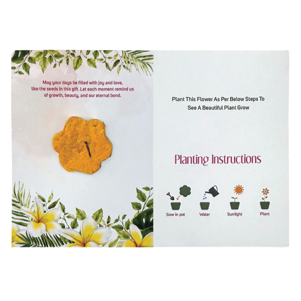 Plantable Pop-up Greeting Card - TT020